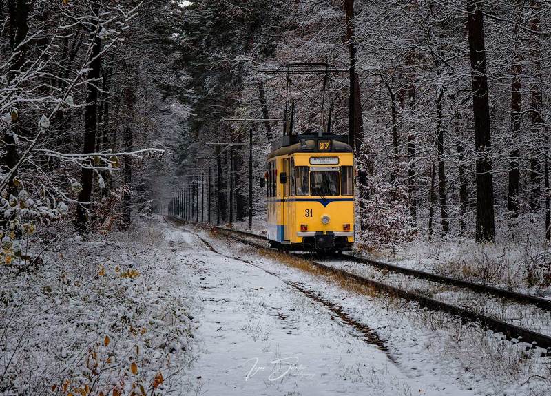 Yellow tram фото превью
