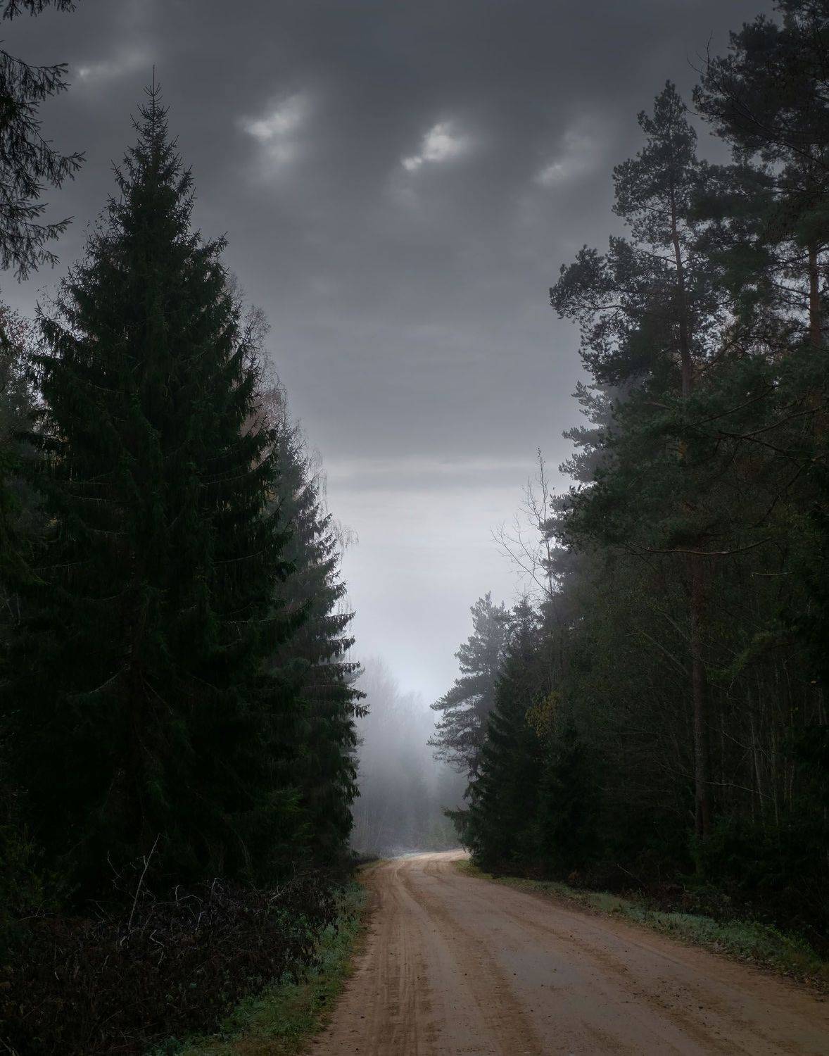 п. усвяты псковской области, дорога, утро, туман, Юрий Андреев