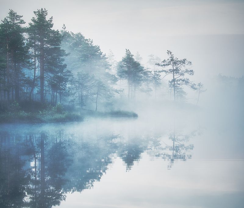 Misty фото превью