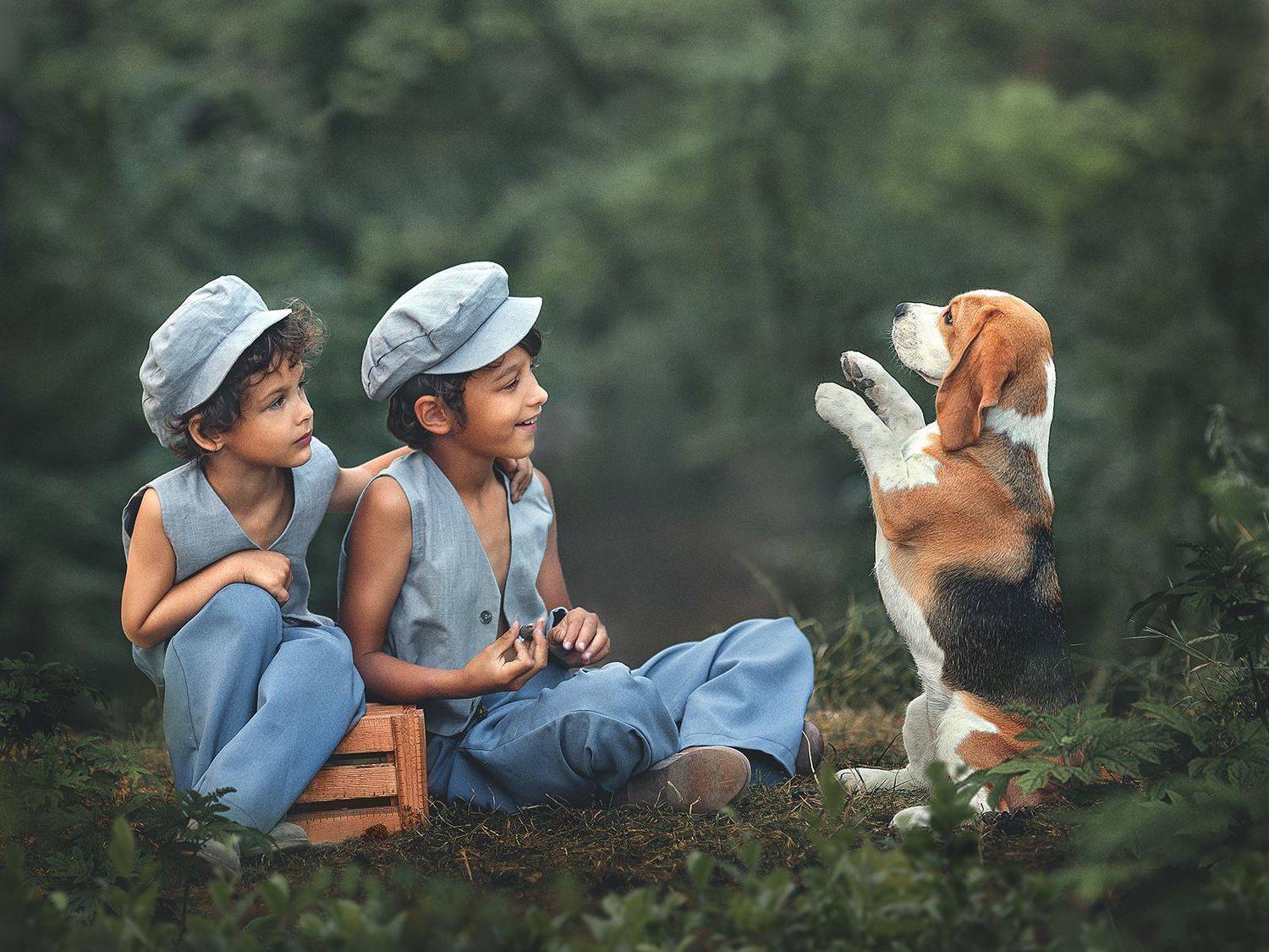 , Елена Михайлова