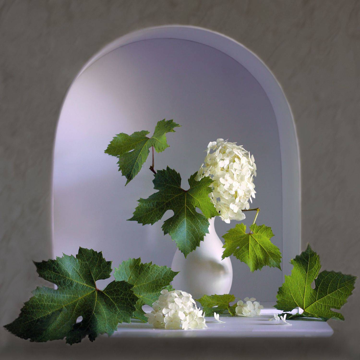 , Ольга Заболотская