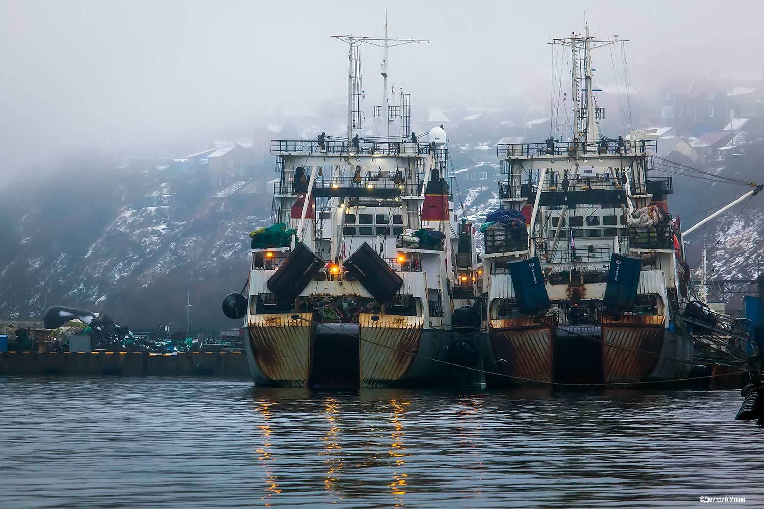 корабли, рыболовство, батм, траулер, морозильный траулер, морское рыболовство, промышленное рыболовство, транспорт, Дмитрий Уткин