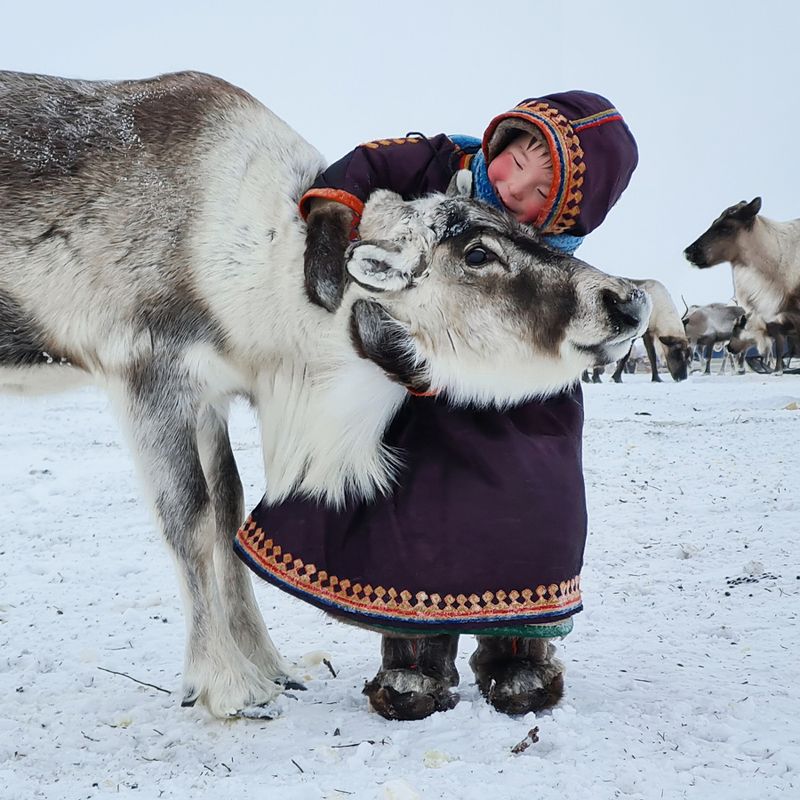 Ямал фото превью