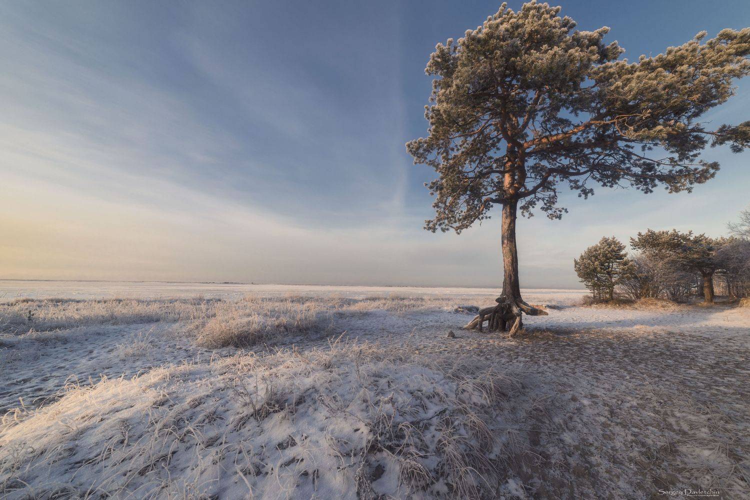 , Сергей Давлетшин