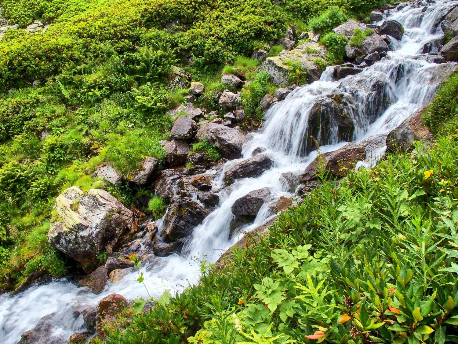 , Владлен Халимов