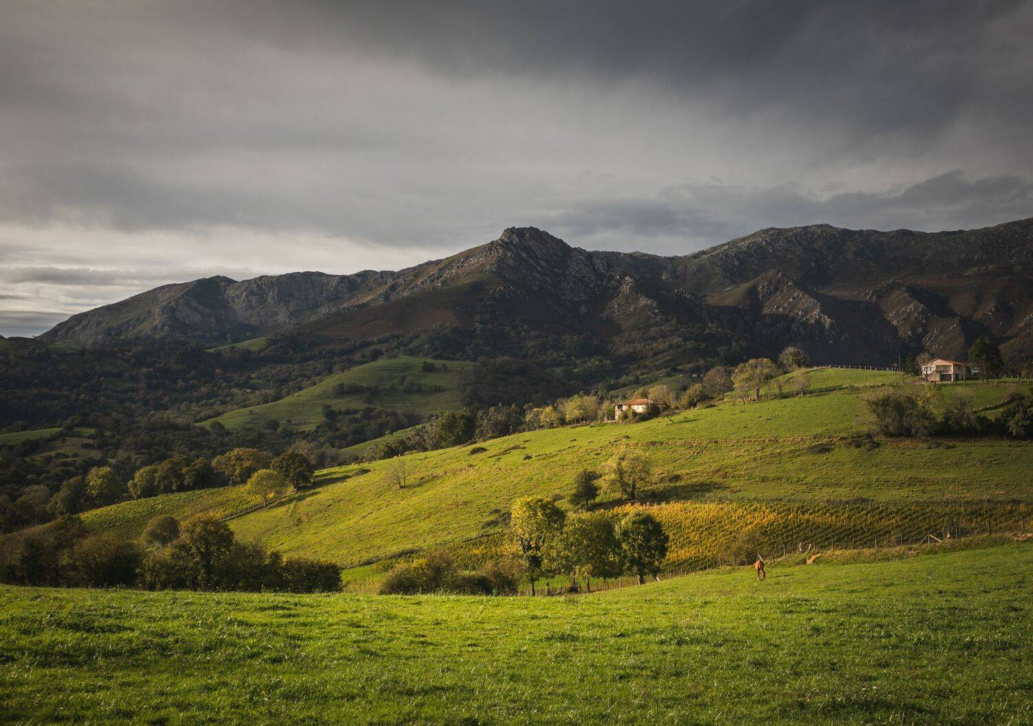 , Алекс Римский