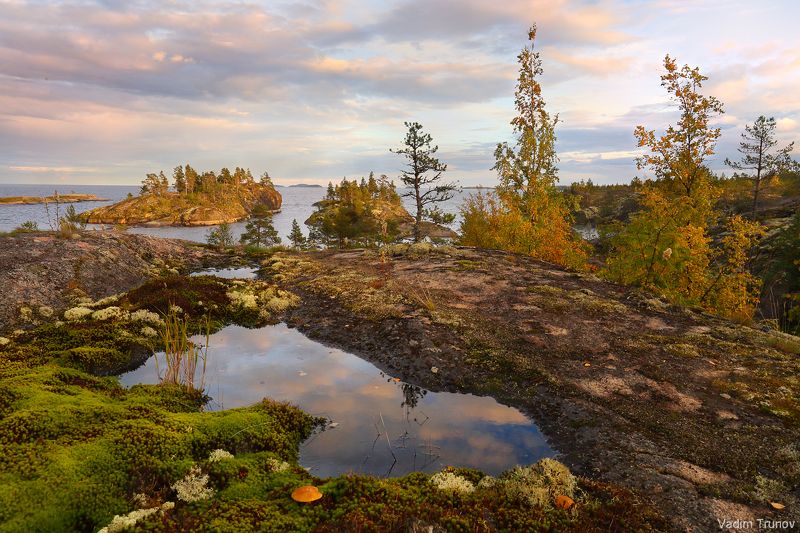 ладога, ладожское озеро, карелия На острове Тимонсаари фото превью