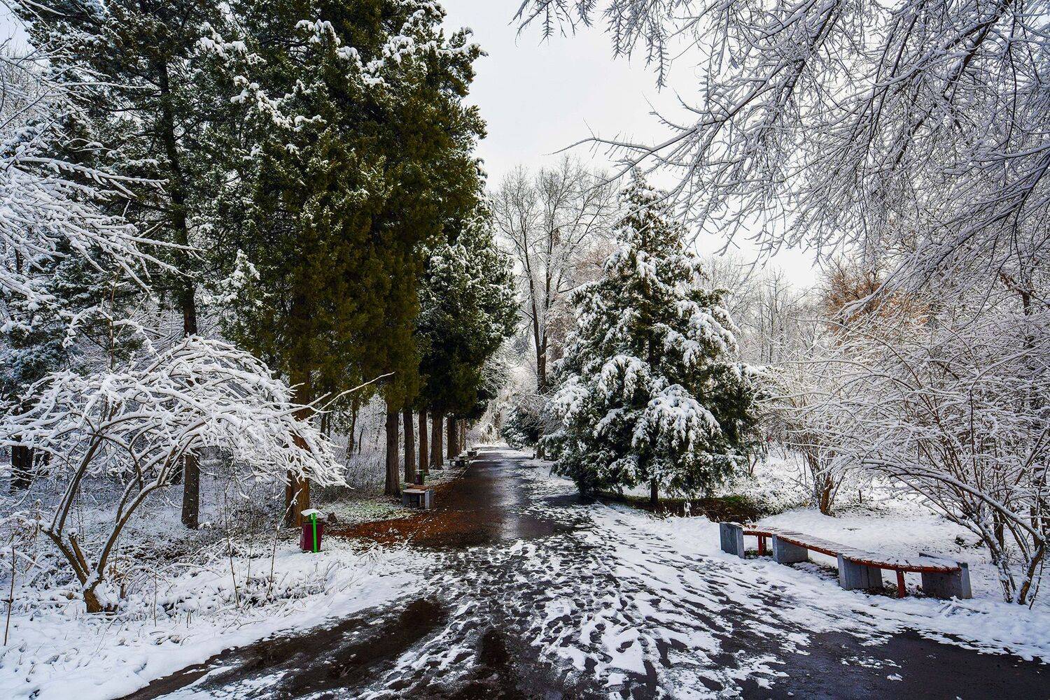 , Abdulrahman Sawalha