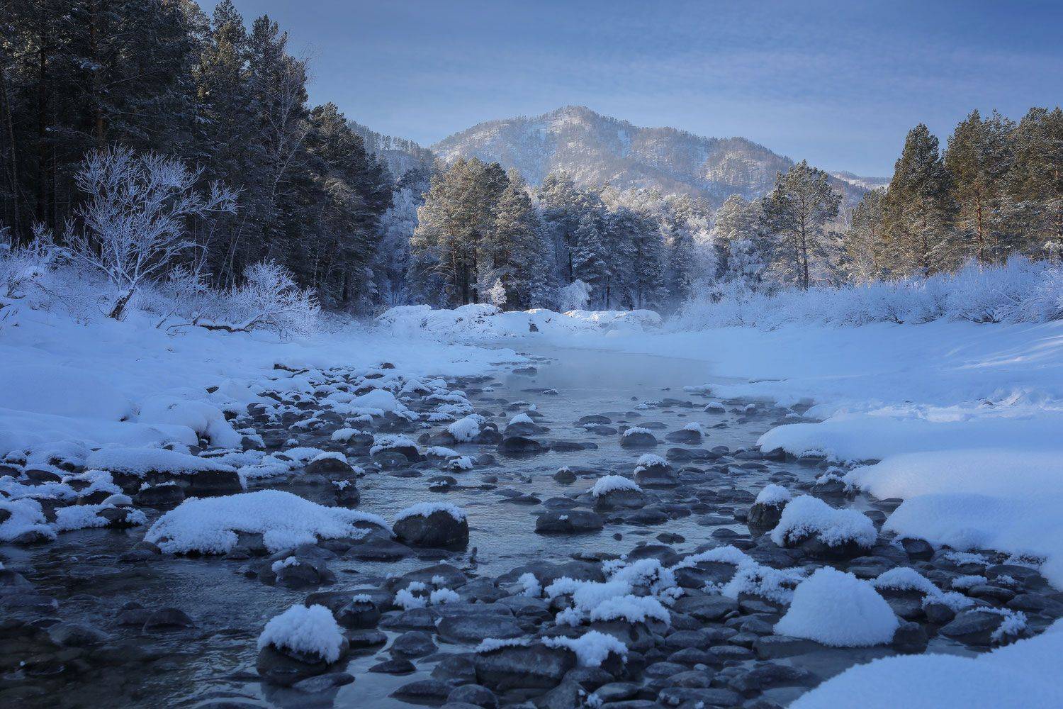 , Галина Хвостенко
