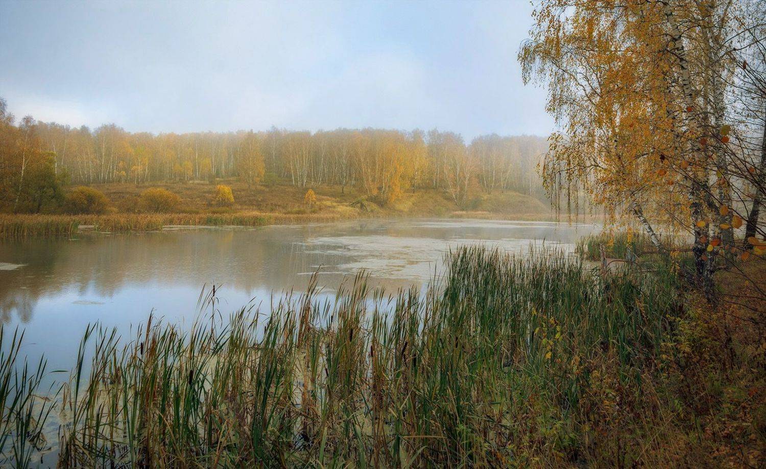 , Анатолий Зверев