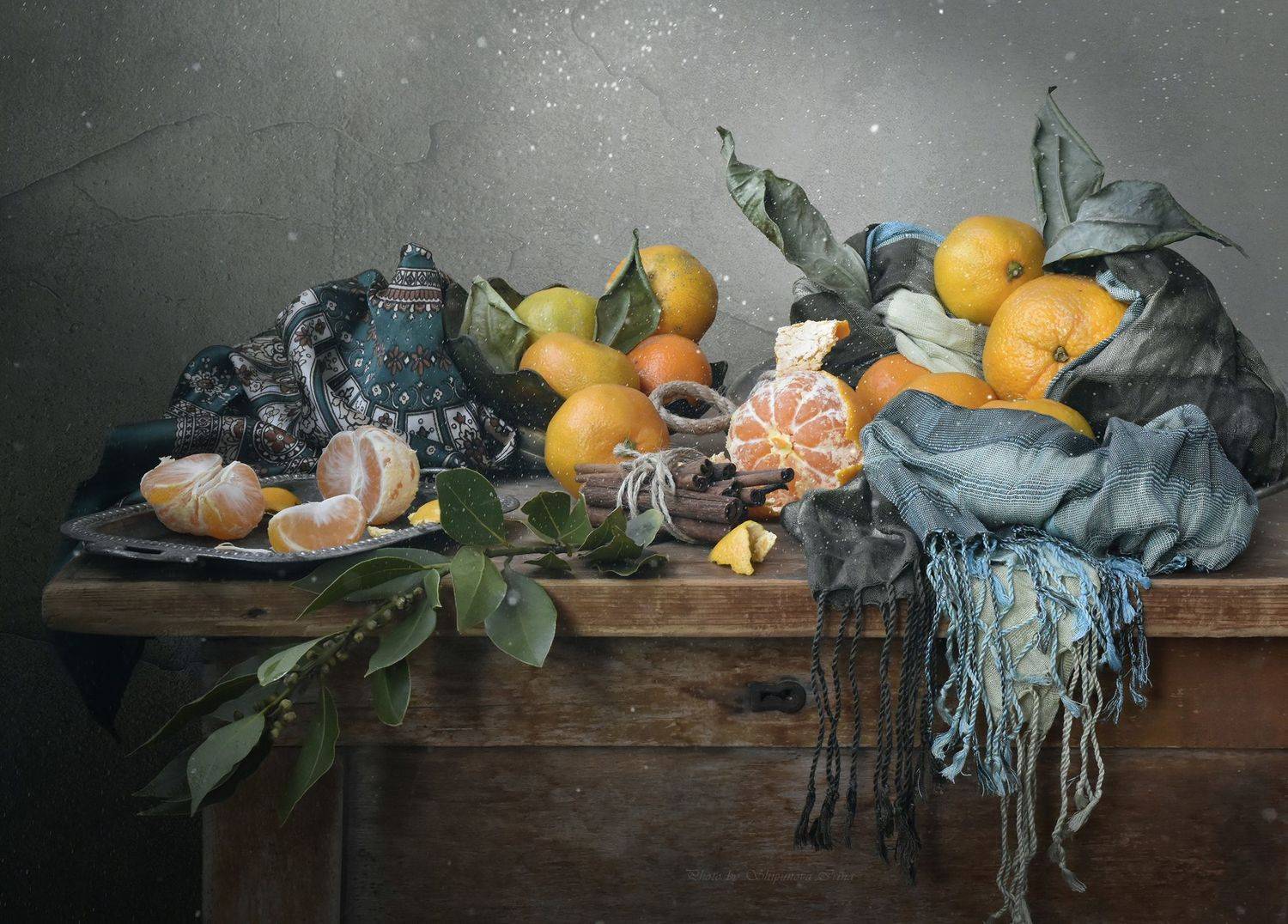 , Шипунова Ирина