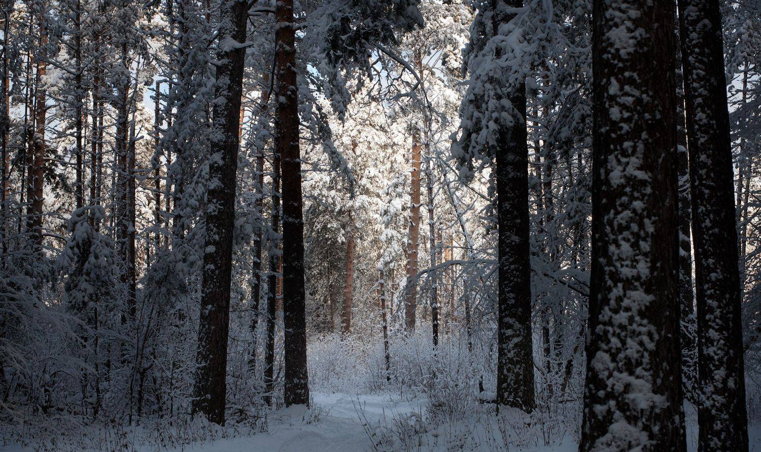 , Владимир Краснов