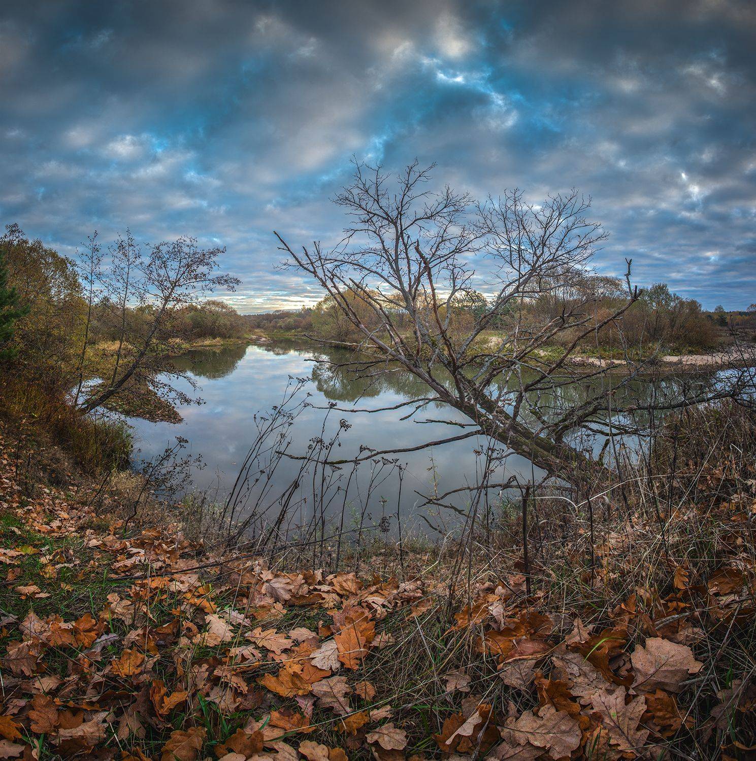 , Андреев Николай