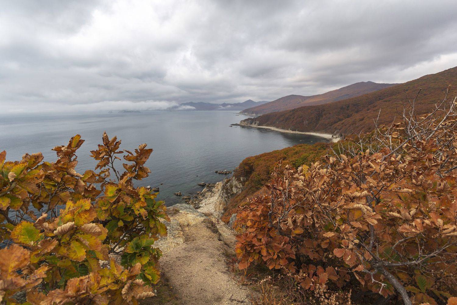 Берег, море, осень, ALEKSANDR KUZNETSOV
