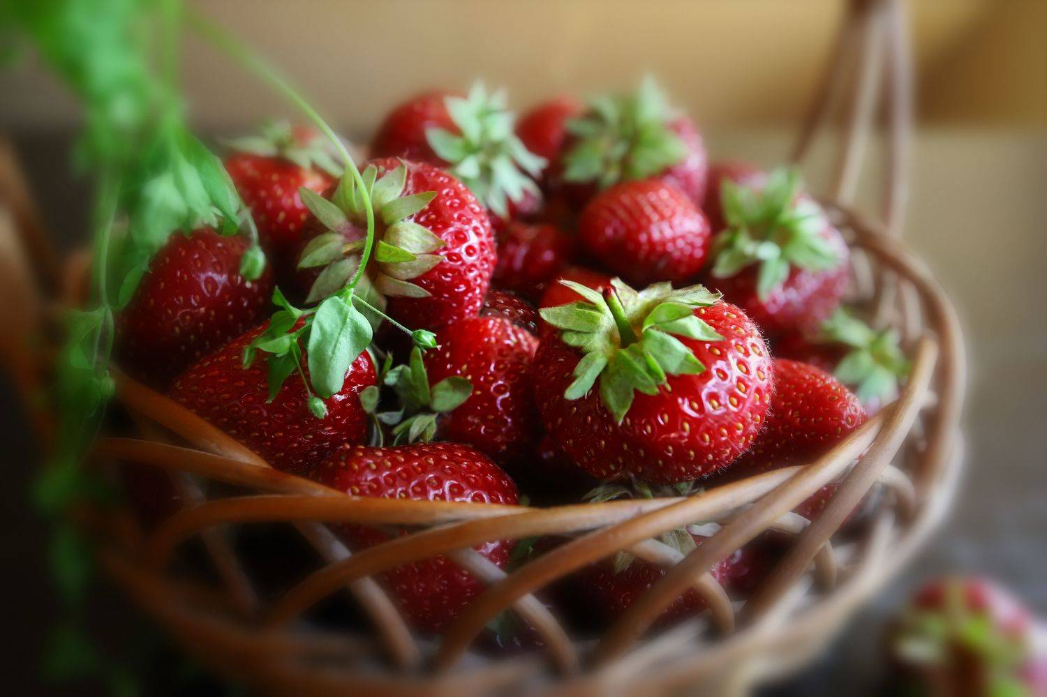 still life, home, delicious, beautiful, basket, food and drink, natural, red berries, DZINTRA REGINA JANSONE