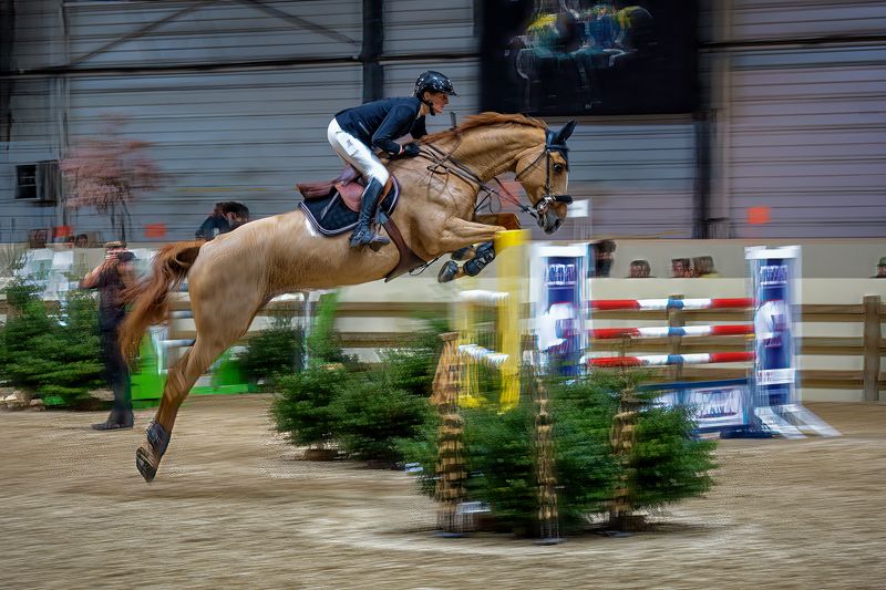 jumping; horse; challenge; competition; horse jumping; horse rider; equestrian Equi Seine фото превью