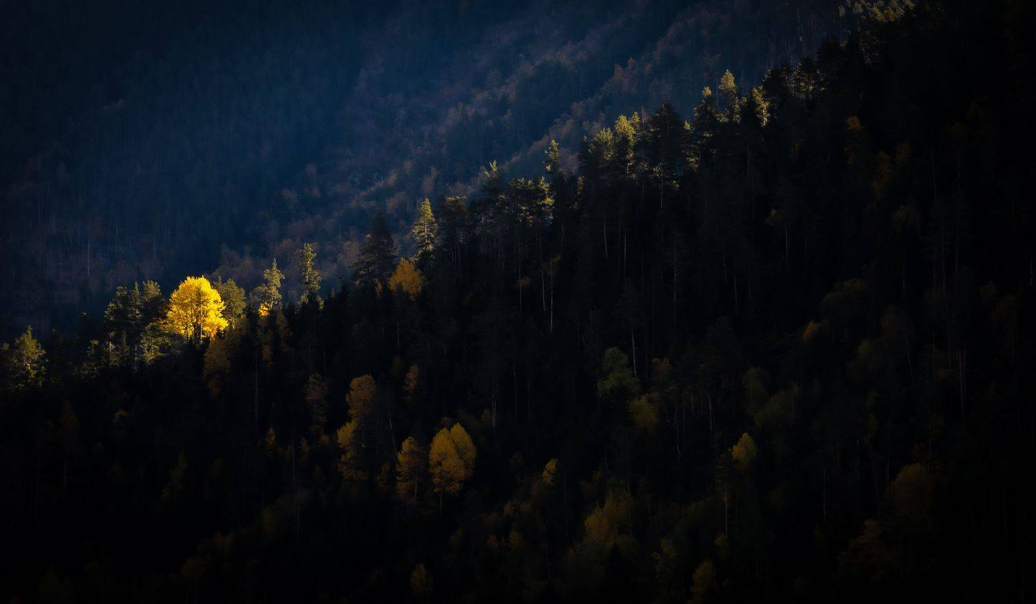 , Веревченко Михаил