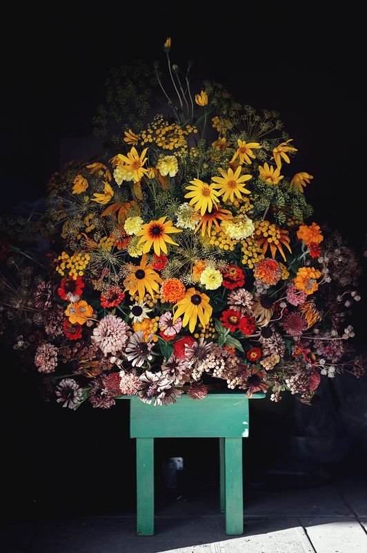 осень, цветы, букет Осенний костер фото превью