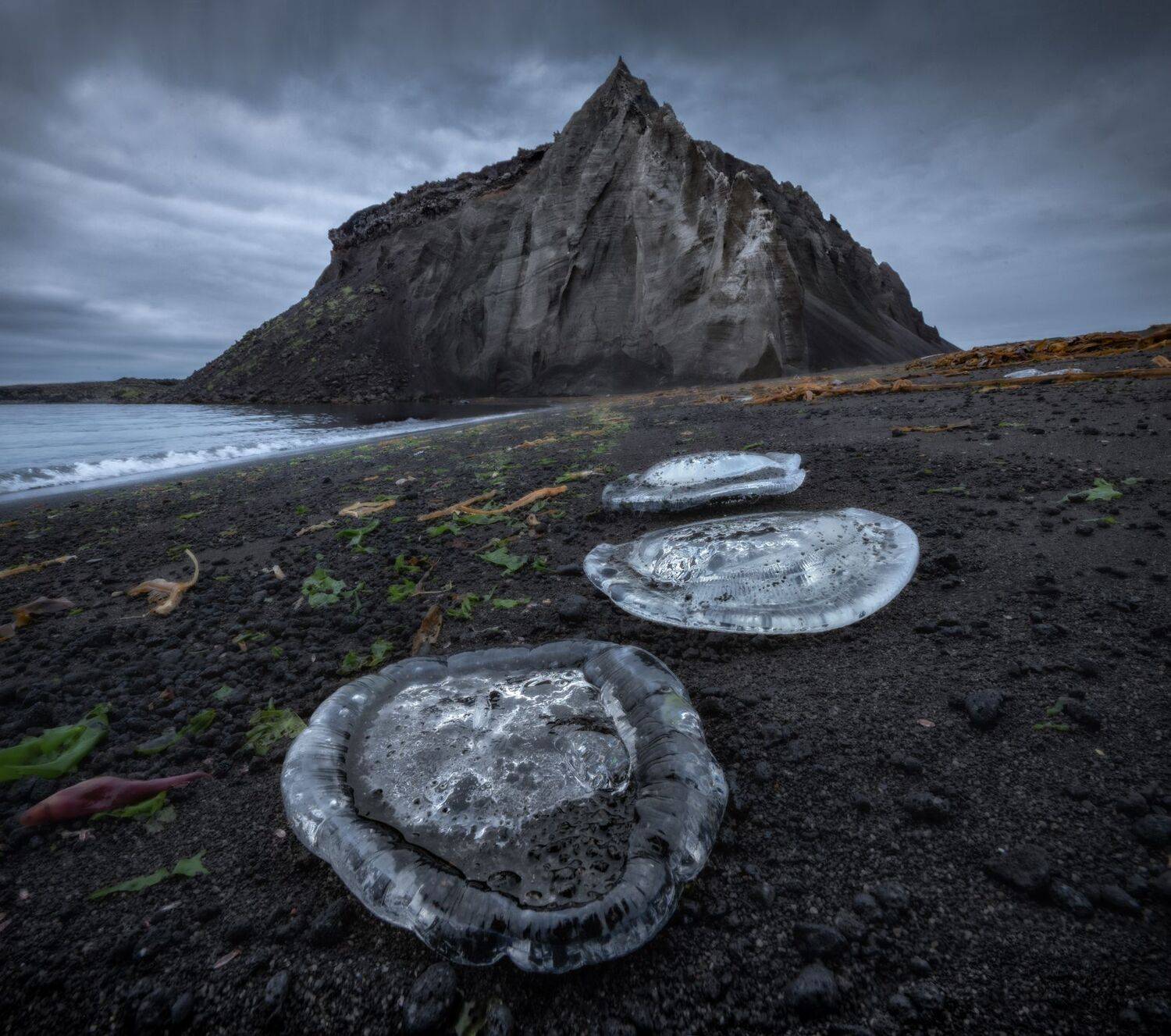 курилы, Андрей Грачев