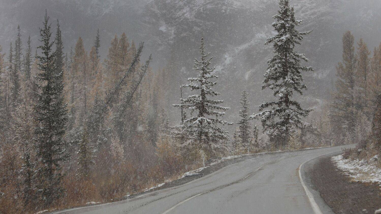 , Константин Буркин