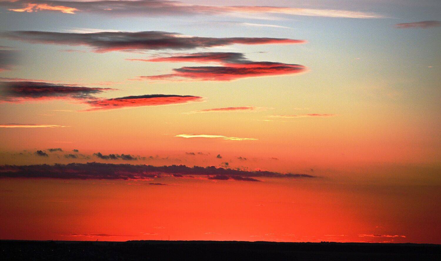 , Меднов Влад