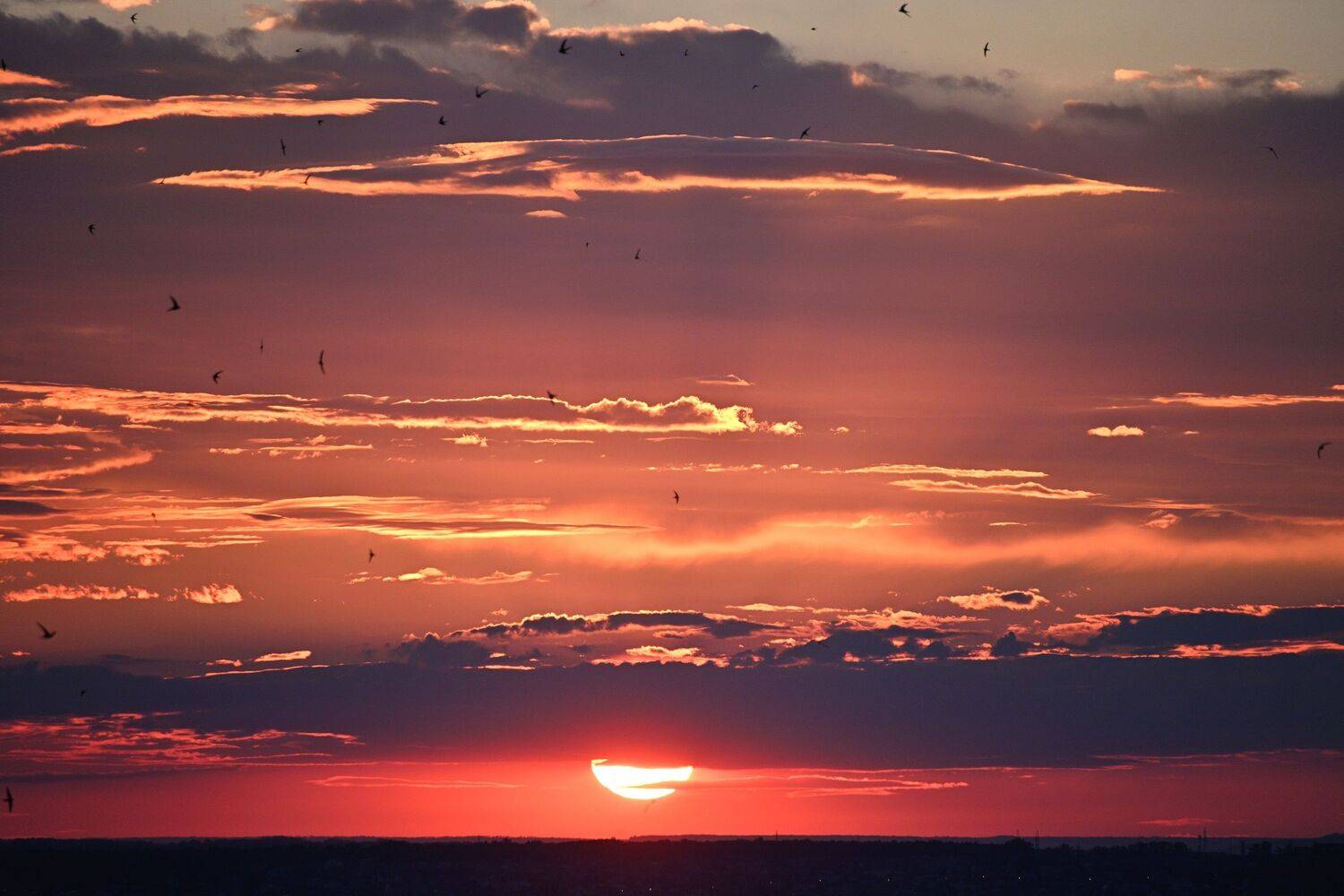 , Меднов Влад