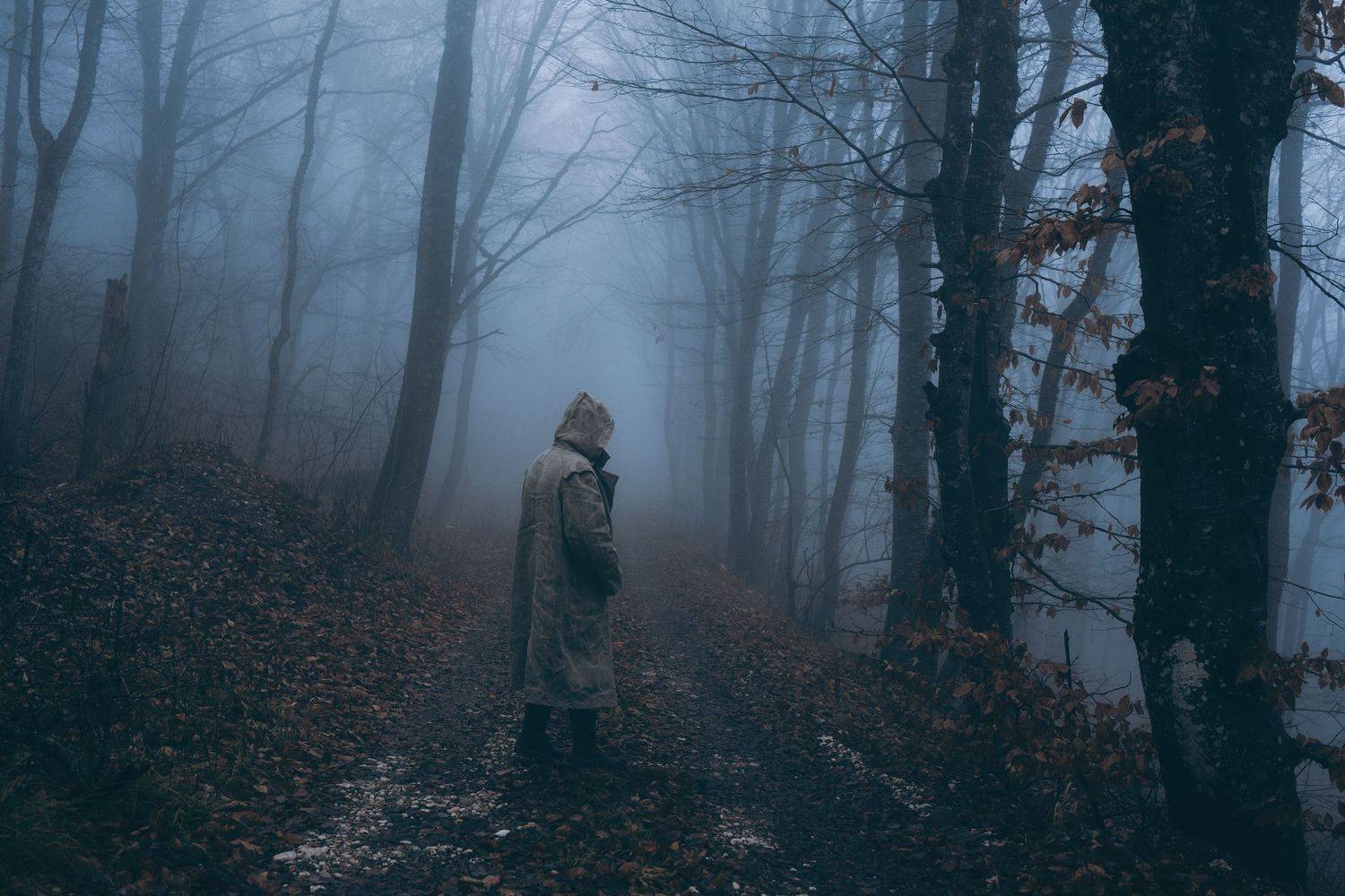 лес, туман, человек, дорога, Вьюшкин Игорь