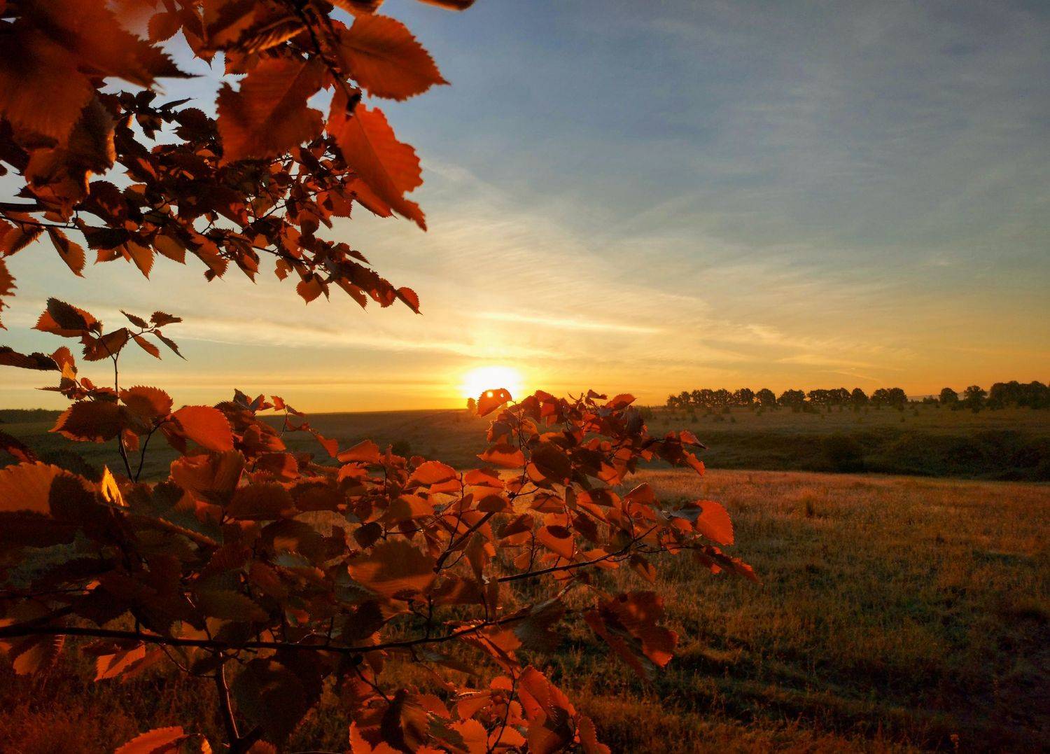 рассвет, природа, лето, утро, Валерий Савостьянов