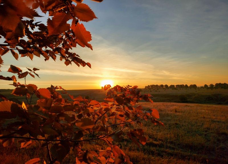 рассвет, природа, лето, утро Летним утром. фото превью