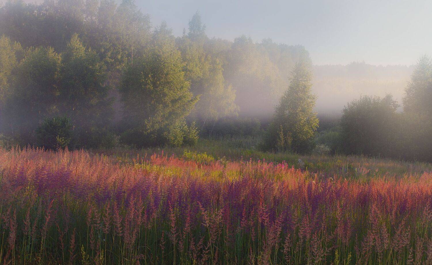 , Елена Рубинская