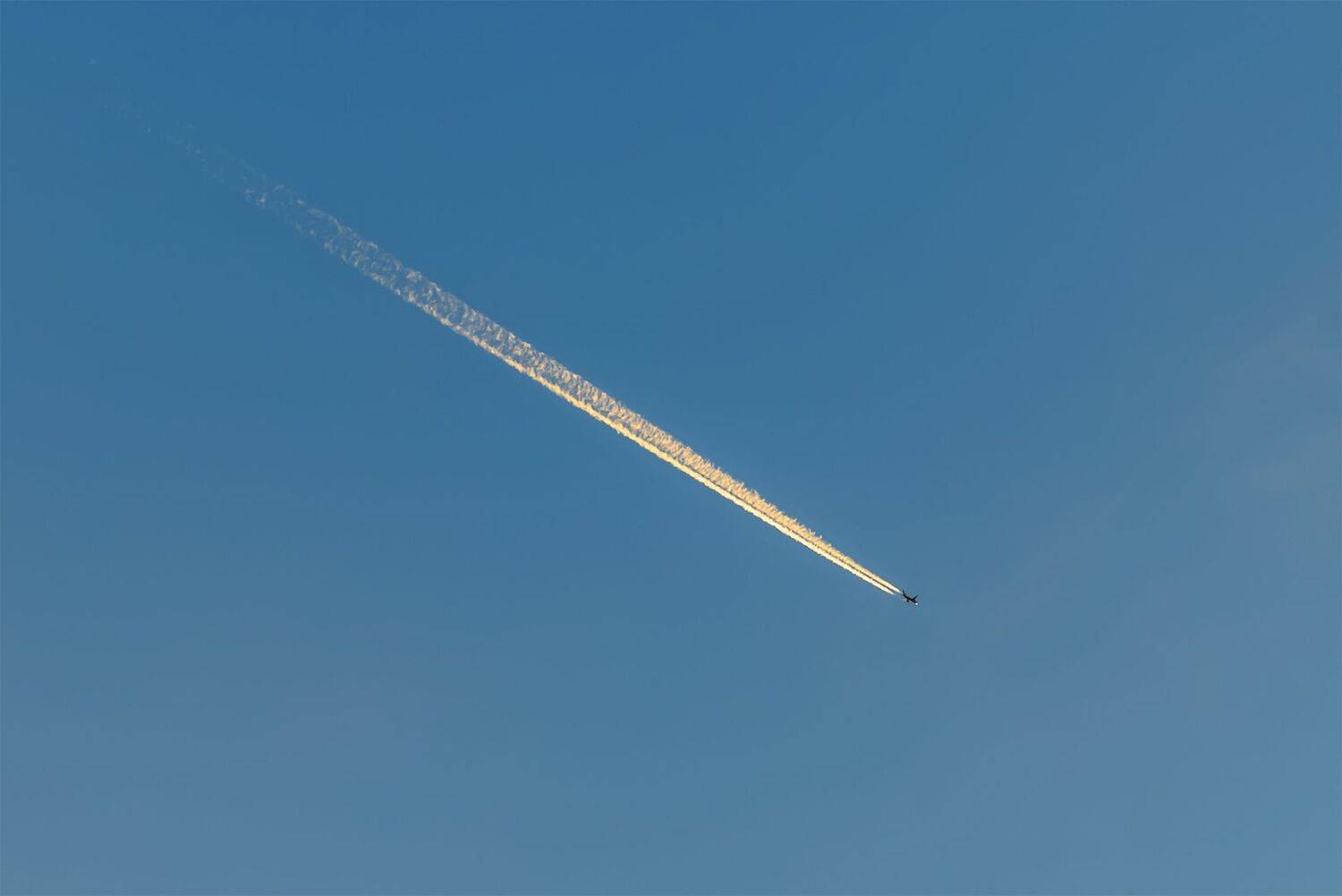 , Шурчков Юрий