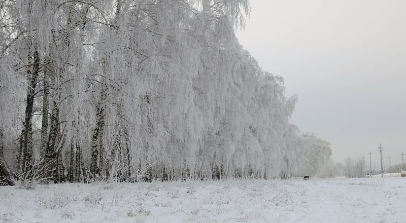 Без Солнца фото превью