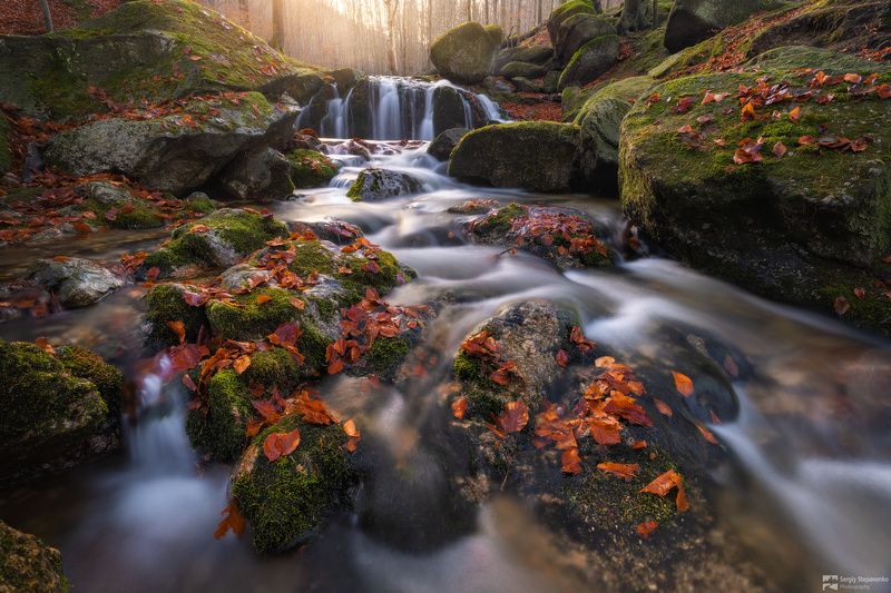 Late Autumn on the Stream