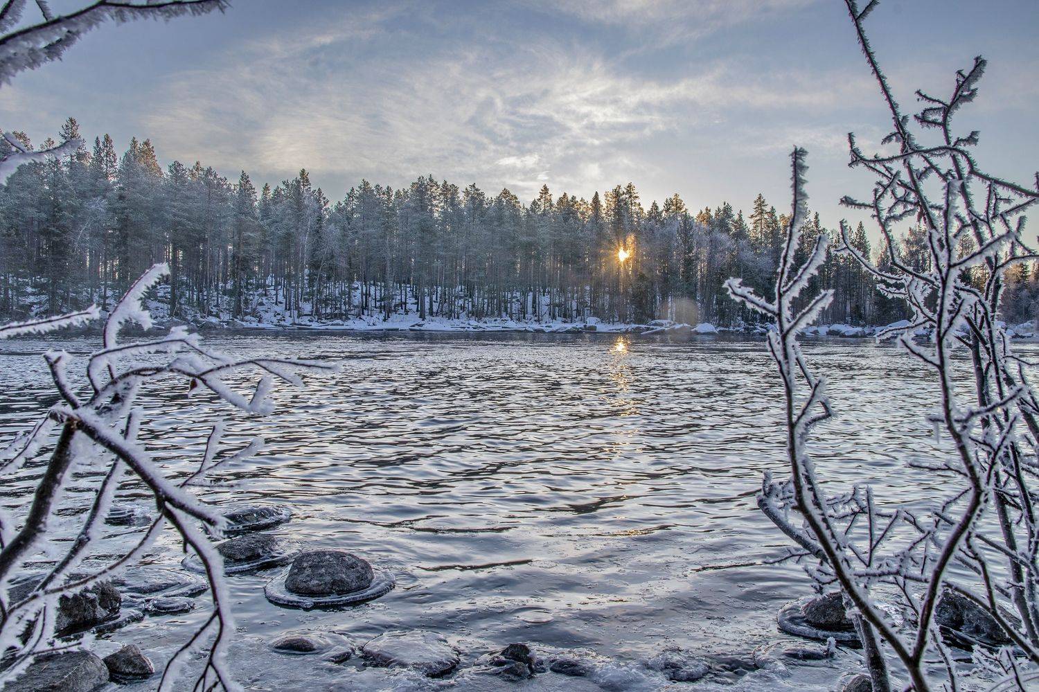 , Добролюбова Тамара