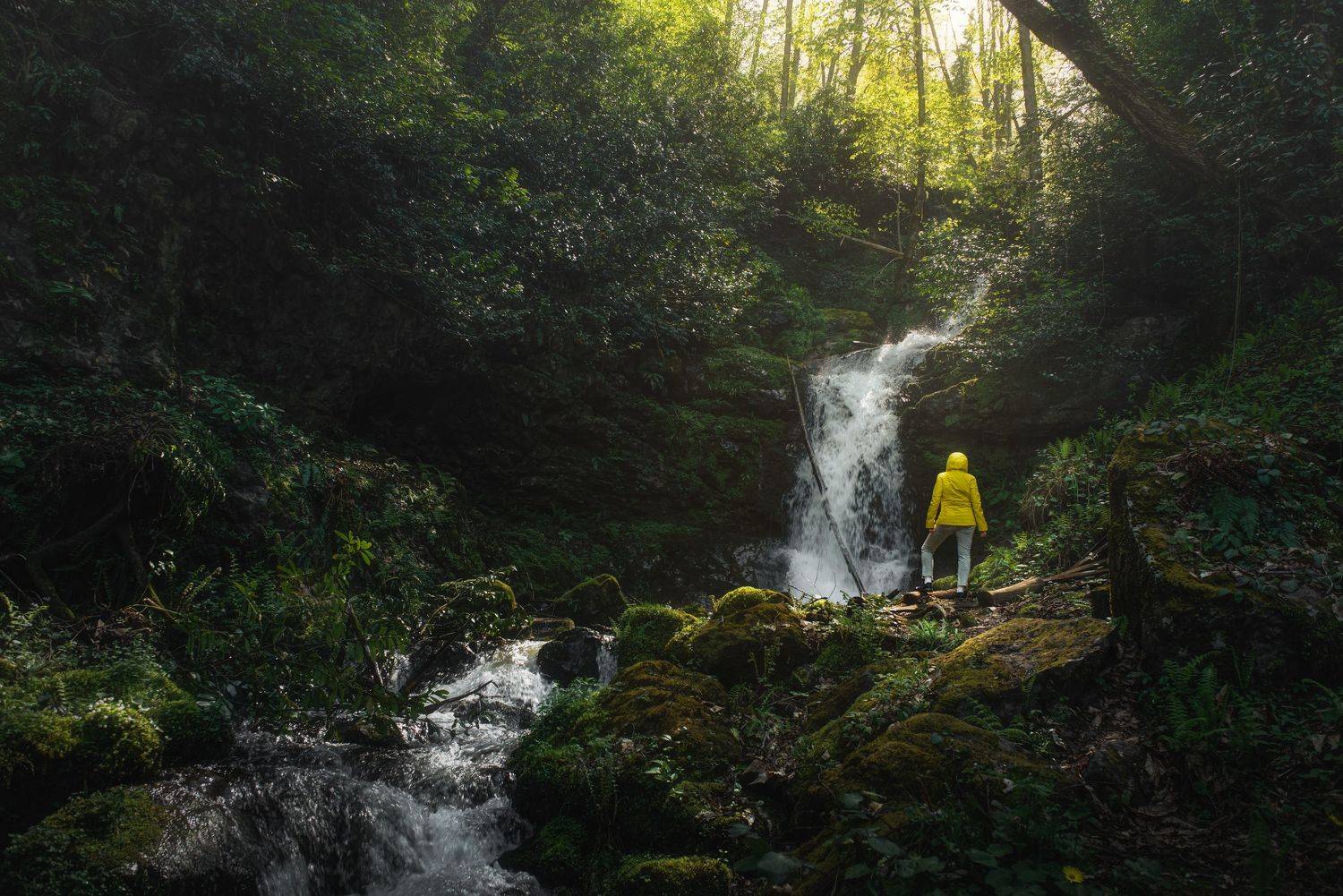waterfall, environmental, landscapes, nature, Georgia, Helen Vasilieva