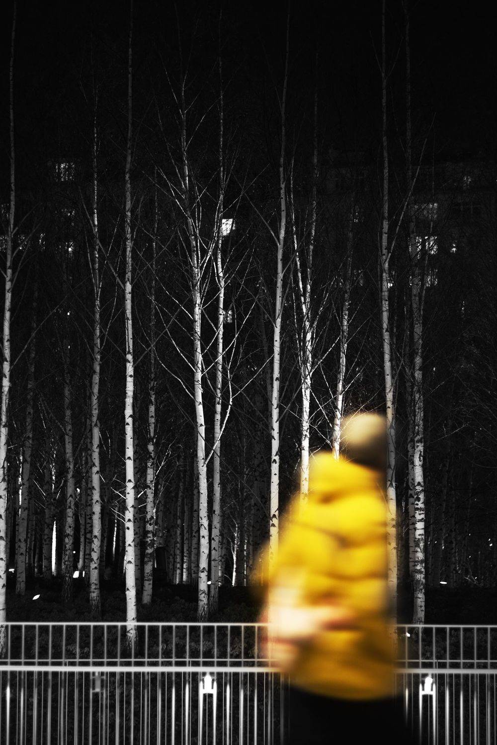 , Алексей Егоров