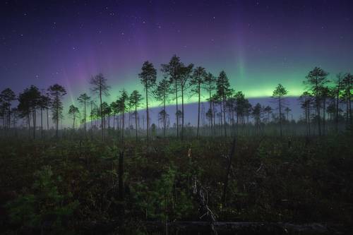 Небесный обруч