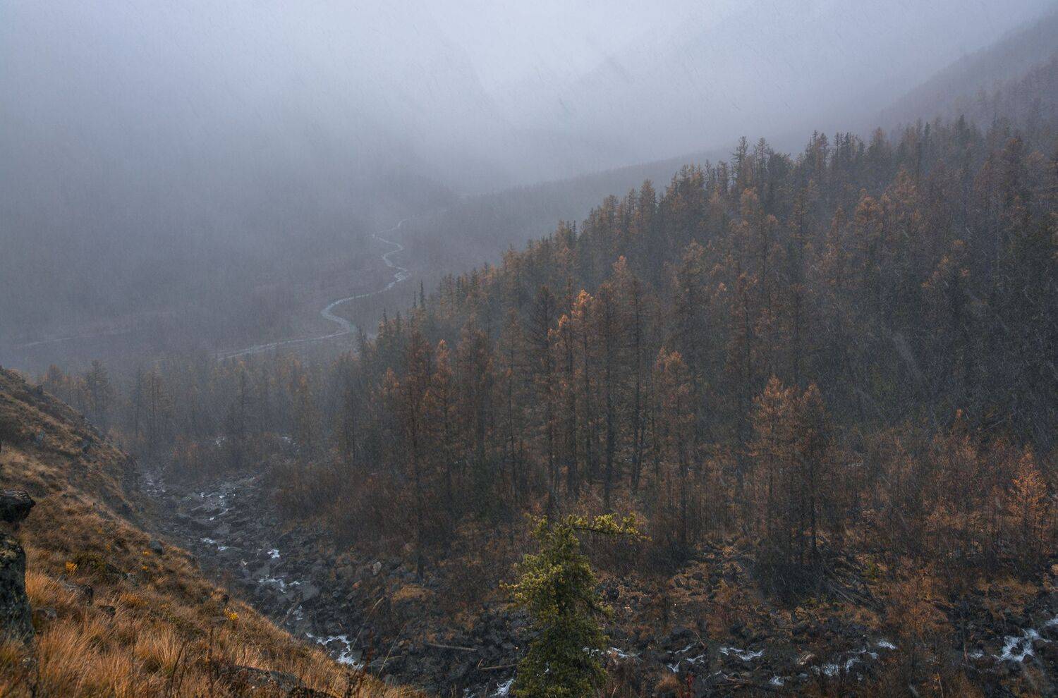 россия, горный алтай,осень, непогода,снег, состояние природы, Андрей Поляков