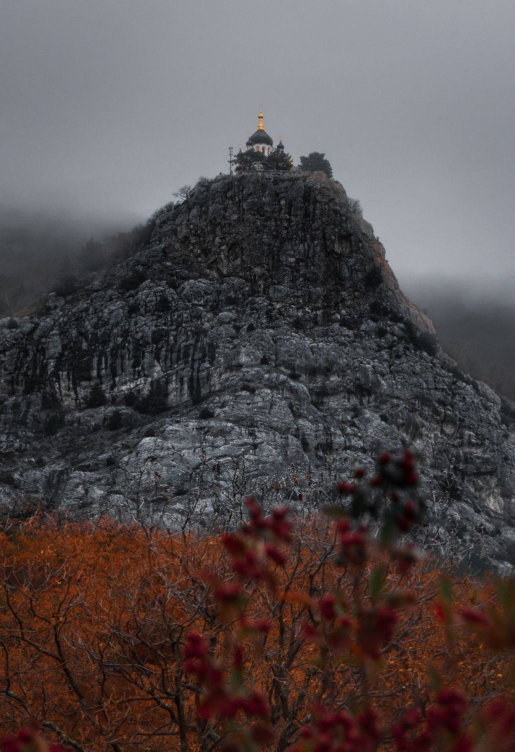 , Андрей Кривцов