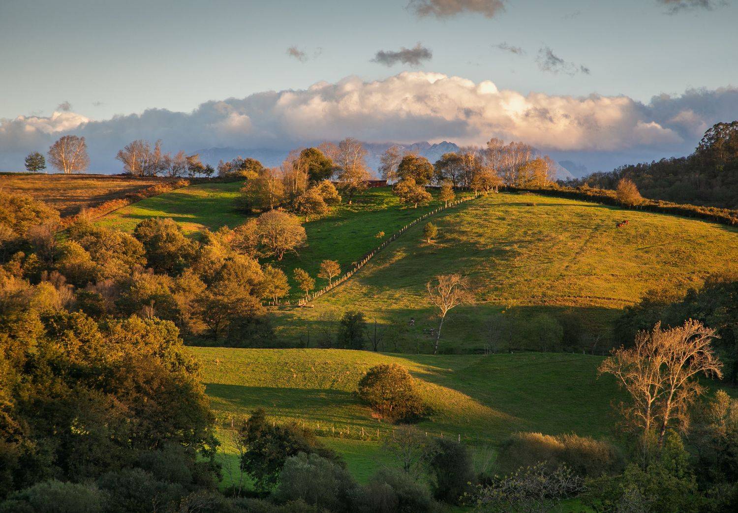 , Алекс Римский