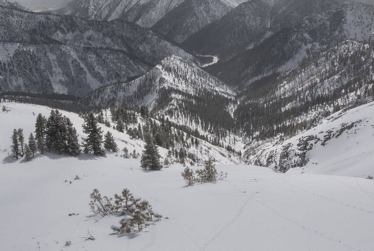 восточные, саяны, тункинские, гольцы, таничев, Андрей Таничев