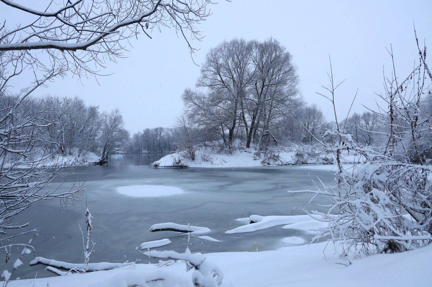 , Елена Колосова