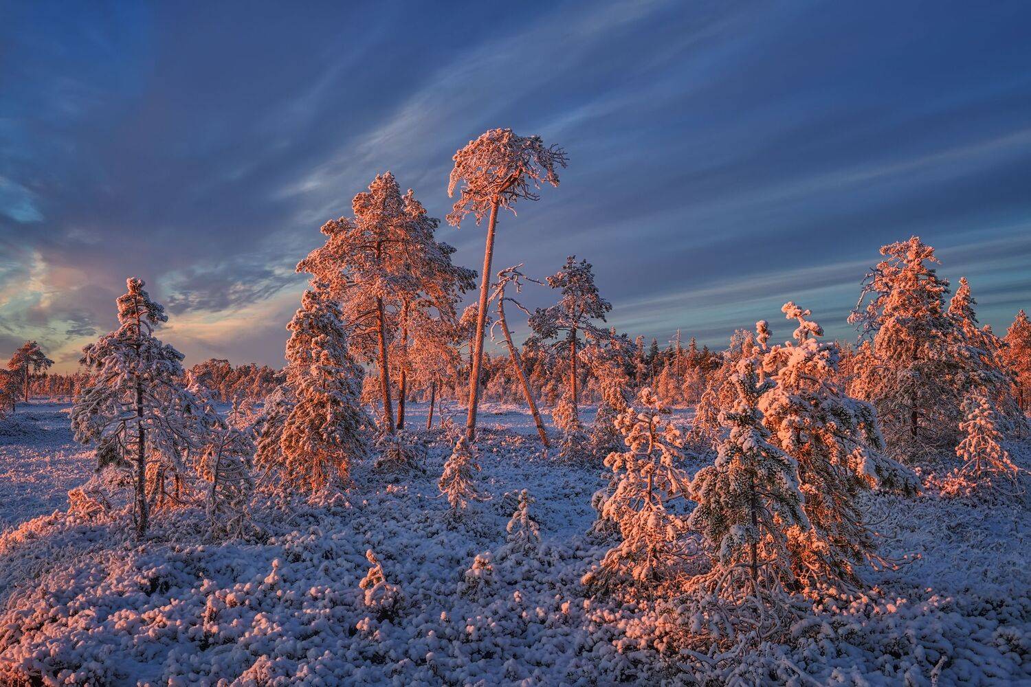 , Максим Евдокимов (phototourtravel.ru)