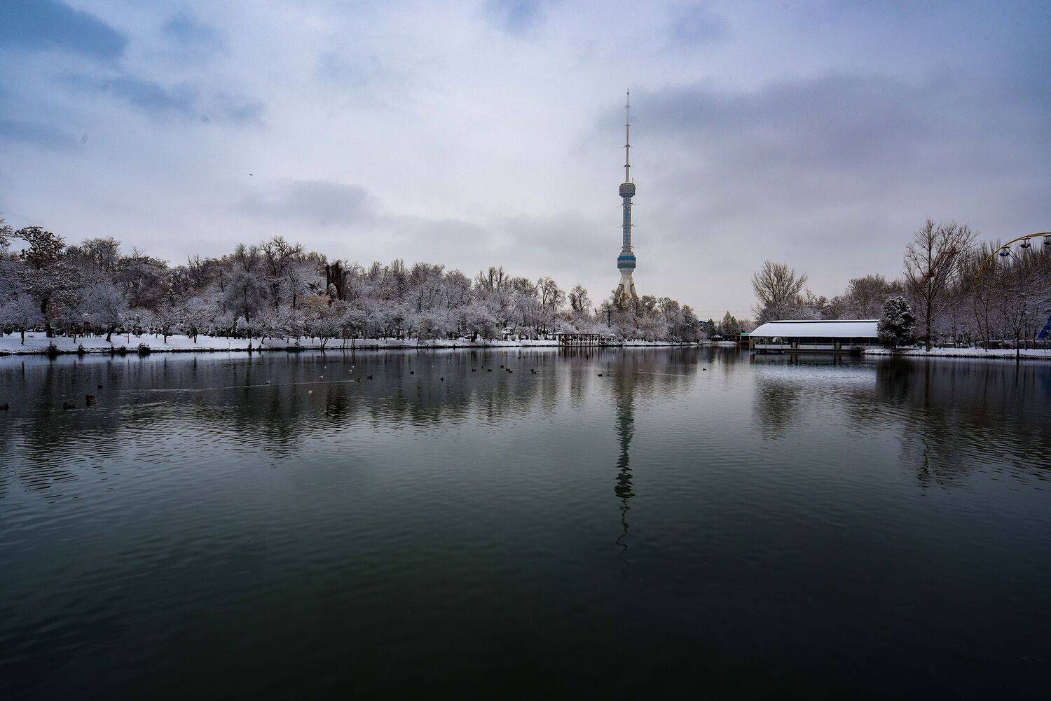 , Abdulrahman Sawalha