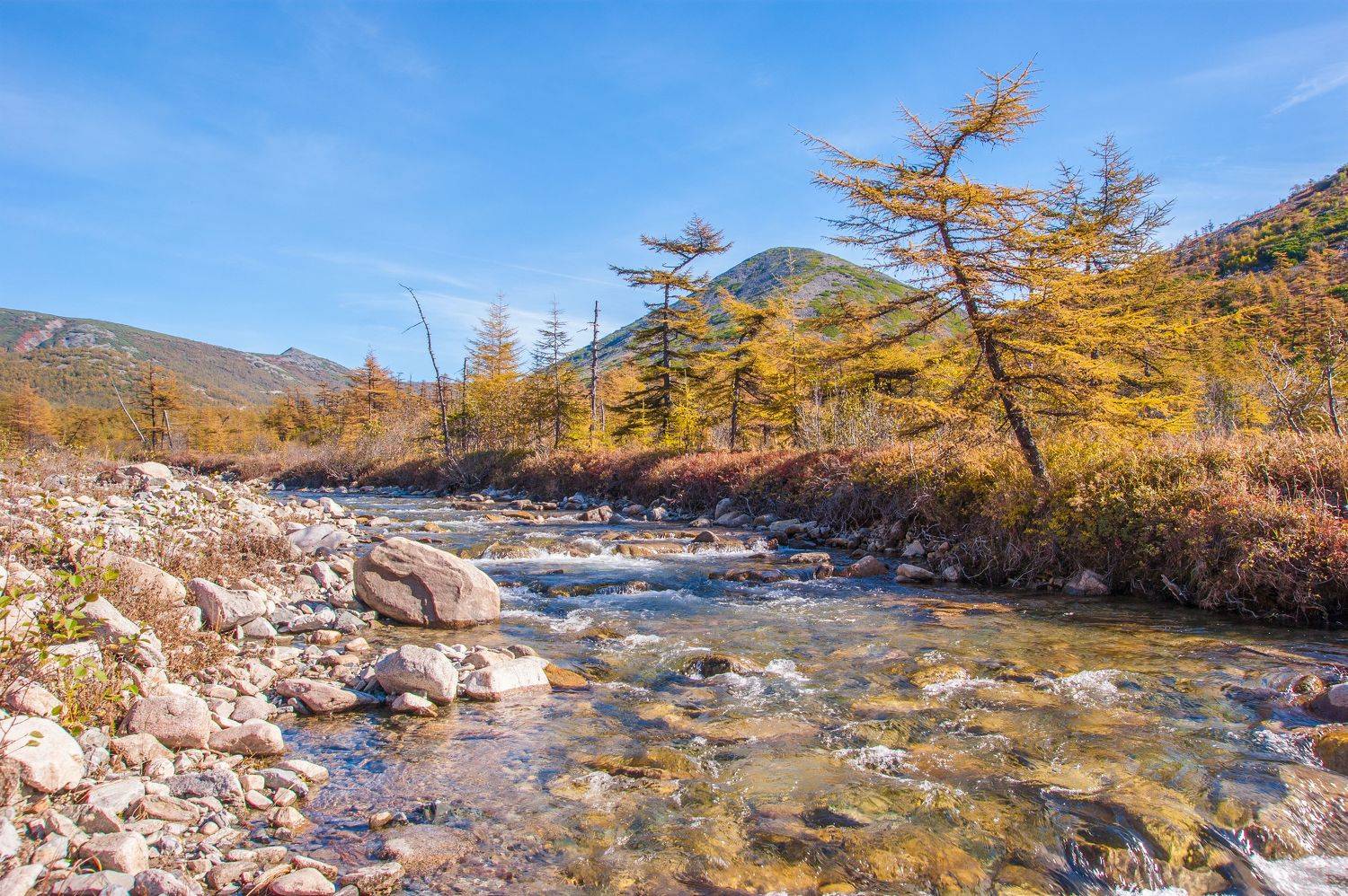 , Андрей Загребельный