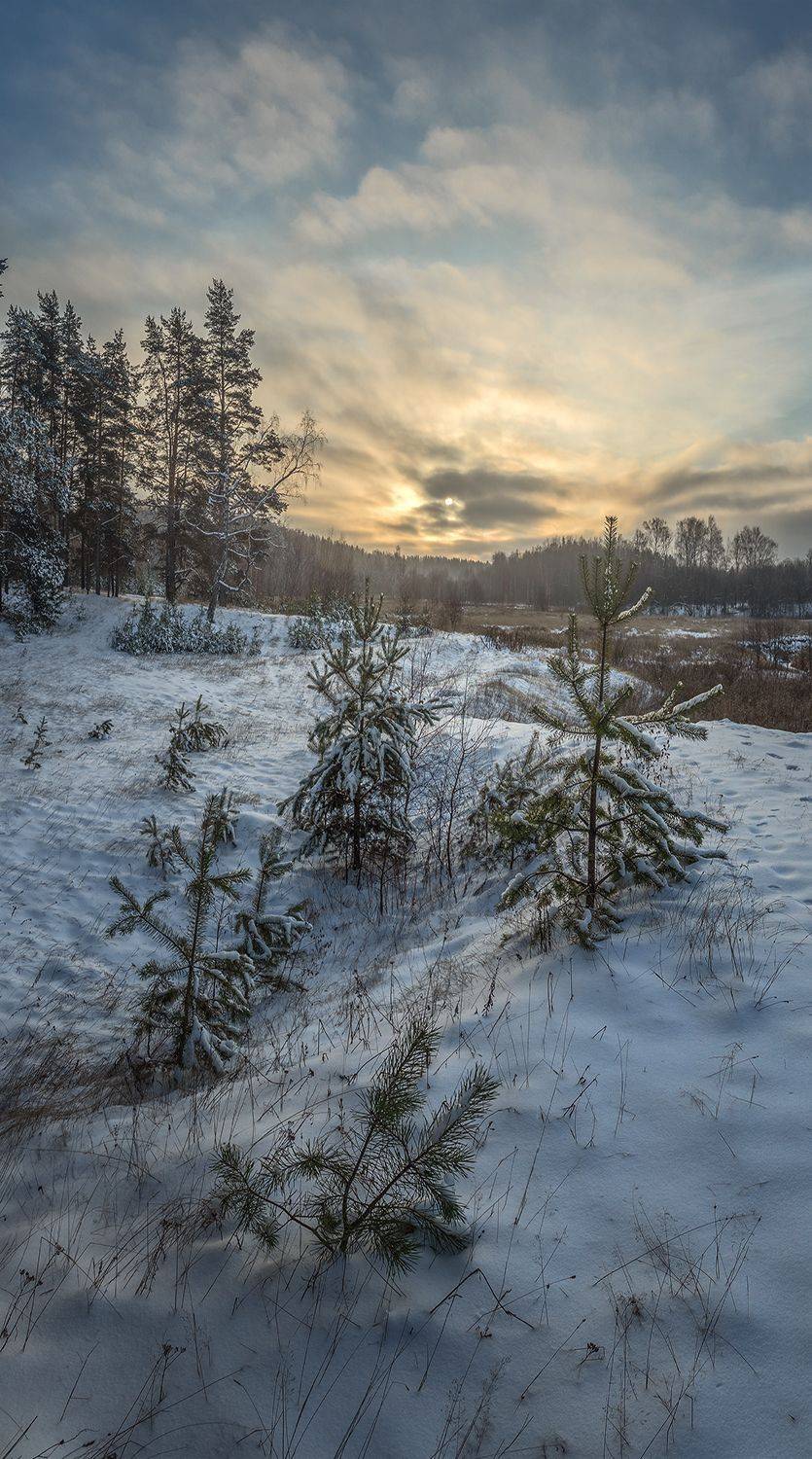 , Андреев Николай