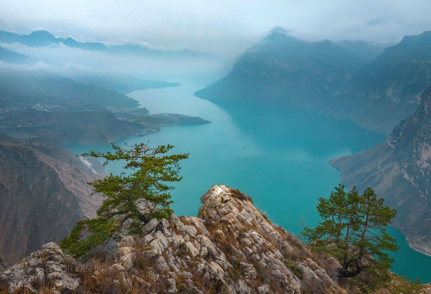 северный кавказ, путешествие, горы, дагестан, ирганайское водохранилище, осень, водоём, озеро, сосна, дерево, скалы, одно дерево, вид, полёт, пасмурно, бирюзовой, небо, возвышенность,, Лашков Фёдор