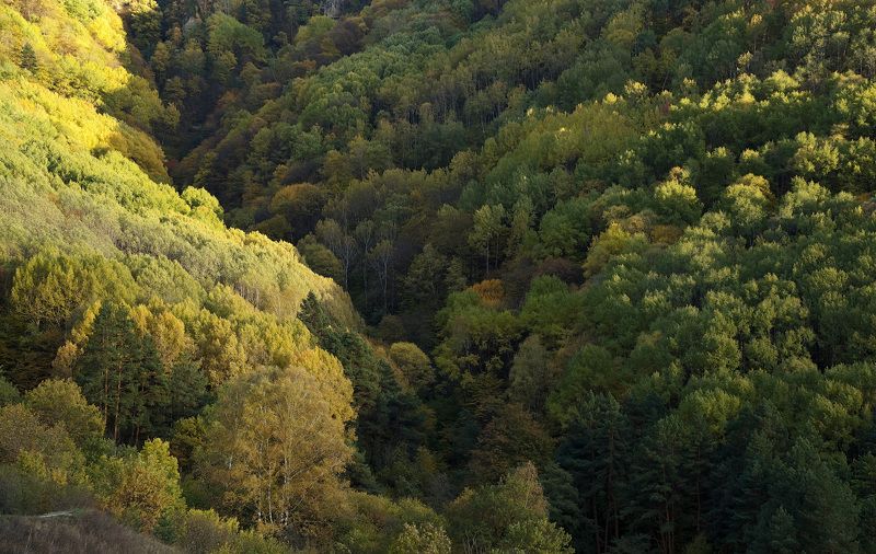 природа,горы,осень Буйство осени фото превью