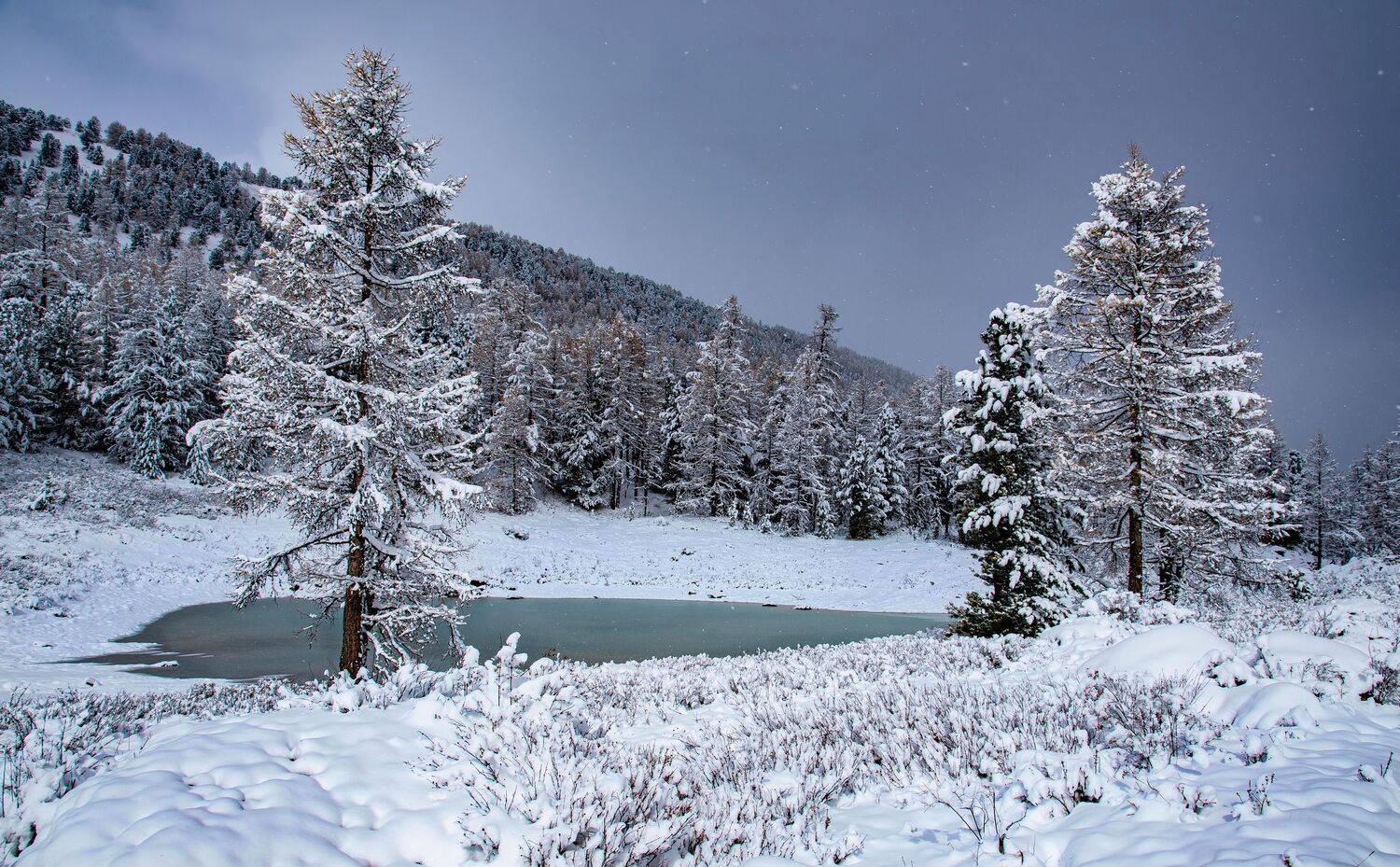 алтай. осень. горы., Евгений Дроботенко