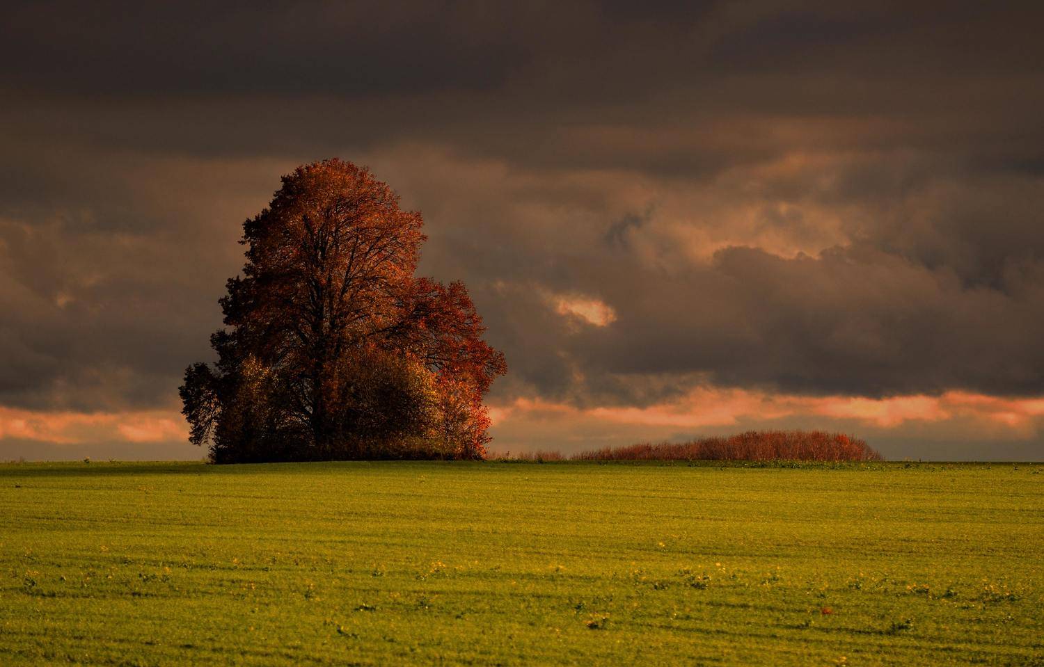 , Андрей Балабин